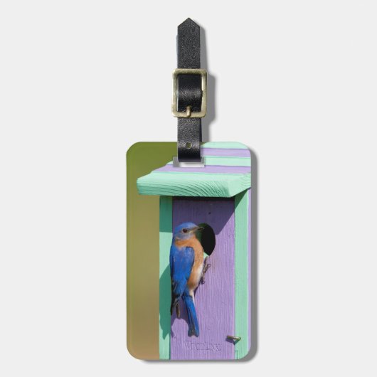 Oostelijke Blauwlijster Bagagelabel (Voorkant verticaal)