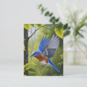 Oostelijke Blauwlijster Briefkaart (Staand voorkant)