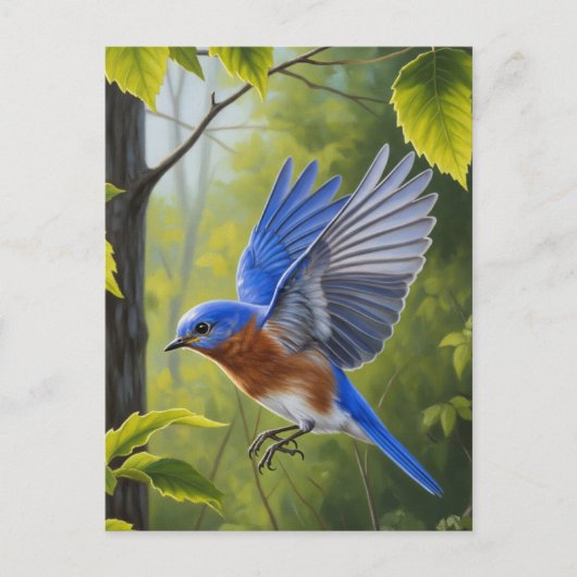 Oostelijke Blauwlijster Briefkaart (Voorkant)