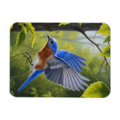 Oostelijke Blauwlijster Magneet (Horizontaal)