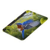 Oostelijke Blauwlijster Magneet (Linkerzijde)