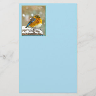 Oostelijke Blauwstaart in Sneeuw - Originele Foto Briefpapier