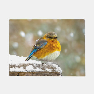 Oostelijke Blauwstaart in Sneeuw - Originele Foto Deurmat