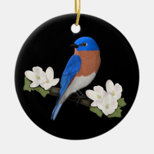 Oostelijke Blauwstaart Vogelliefhebber Vogelspotte Keramisch Ornament