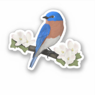 Oostelijke Blauwstaart Vogelliefhebber Vogelspotte Sticker