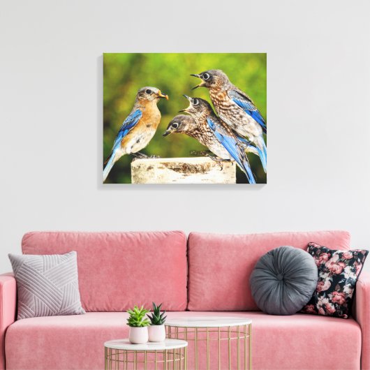 Oostelijke Blauwvogel Canvas Afdruk (Insitu (Woonkamer))
