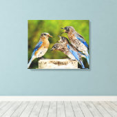 Oostelijke Blauwvogel Canvas Afdruk (Insitu (Houten vloer))