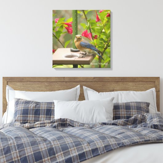 Oostelijke Blauwvogel Canvas Afdruk (Insitu (Slaapkamer))