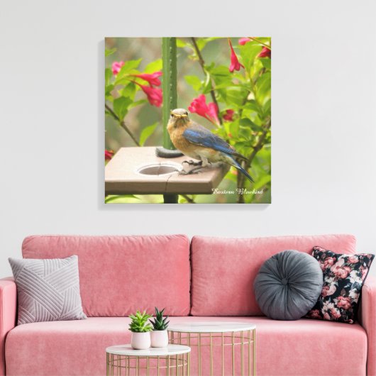 Oostelijke Blauwvogel Canvas Afdruk (Insitu (Woonkamer))