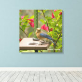 Oostelijke Blauwvogel Canvas Afdruk (Insitu (Houten vloer))