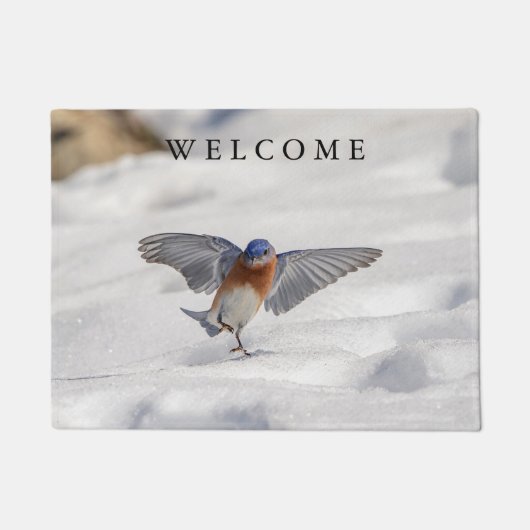 Oostelijke Blauwvogel dansend in de sneeuw Deurmat (Voorkant)