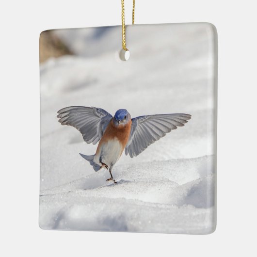 Oostelijke Blauwvogel dansend in de sneeuw Keramisch Ornament (Links)