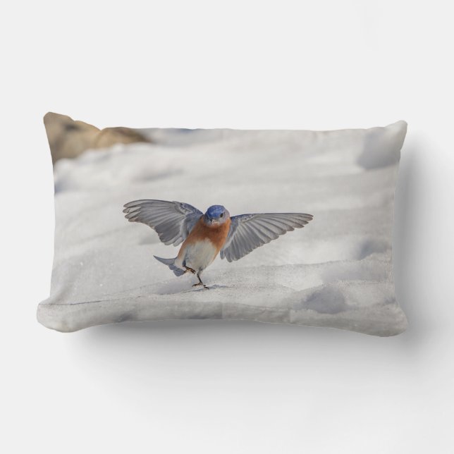 Oostelijke Blauwvogel dansend in de sneeuw Kussen (Voorkant)