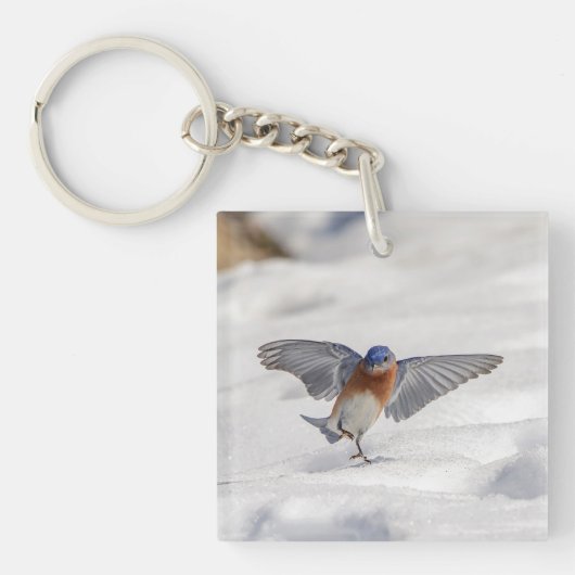 Oostelijke Blauwvogel dansend in de sneeuw Sleutelhanger (Voorkant)