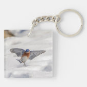 Oostelijke Blauwvogel dansend in de sneeuw Sleutelhanger (Achterkant)