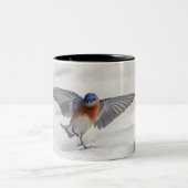 Oostelijke Blauwvogel dansend in de sneeuw Tweekleurige Koffiemok (Center)