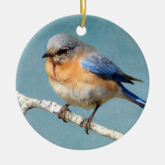 Oostelijke Blauwvogel Keramisch Ornament (Voorkant)