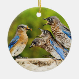 Oostelijke Blauwvogel Keramisch Ornament