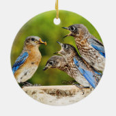 Oostelijke Blauwvogel Keramisch Ornament (Achterkant)