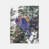 Oostelijke Blauwvogel Kleine Vleekbank Fleece Deken (Voorkant)