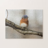 Oostelijke Blauwvogel Legpuzzel (Horizontaal)