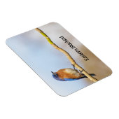 Oostelijke Blauwvogel Magneet (Rechterzijde)