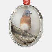 Oostelijke Blauwvogel Metalen Ornament (Links)