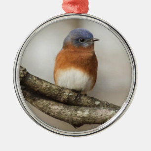 Oostelijke Blauwvogel Metalen Ornament