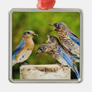 Oostelijke Blauwvogel Metalen Ornament