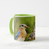 Oostelijke Blauwvogel Mok (Voorkant links)