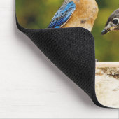 Oostelijke Blauwvogel Muismat (Hoek)