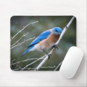 Oostelijke Blauwvogel Muismat (Met muis)