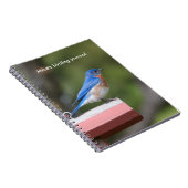 Oostelijke Blauwvogel Notitieboek (Rechterzijde)