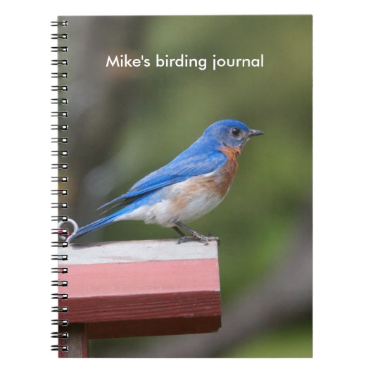 Oostelijke Blauwvogel Notitieboek (Voorkant)