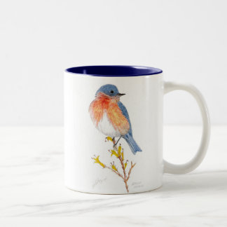 oostelijke blauwvogel, oostelijke blauwvogel tweekleurige koffiemok