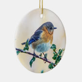 Oostelijke Blauwvogel op Holly Ornament (Rechts)