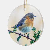 Oostelijke Blauwvogel op Holly Ornament (Links)