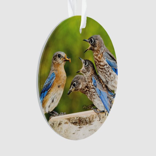 Oostelijke Blauwvogel Ornament (voorkant)