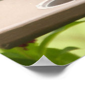 Oostelijke Blauwvogel Poster (Hoek)