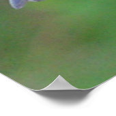 Oostelijke Blauwvogel Poster (Hoek)