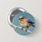 Oostelijke Blauwvogel Ronde Button 5,7 Cm (Voorkant /achterkant)