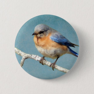 Oostelijke Blauwvogel Ronde Button 5,7 Cm