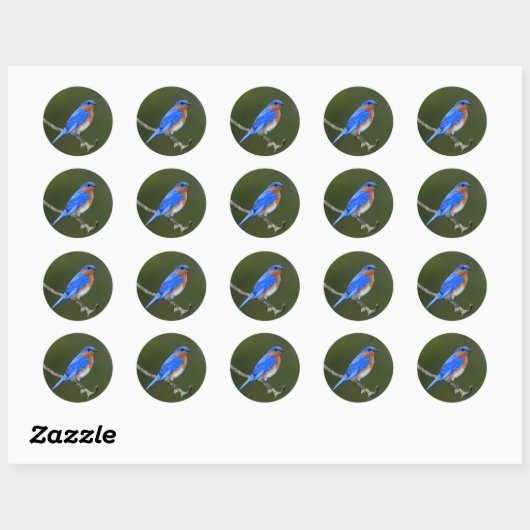 Oostelijke Blauwvogel Ronde Sticker (Vel)