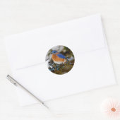 Oostelijke Blauwvogel Ronde Sticker (Envelop)
