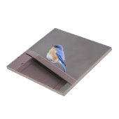 Oostelijke Blauwvogel Tegeltje (Zijkant)