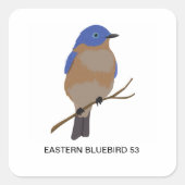 Oostelijke Bluebird 53 Sticker (Voorkant)