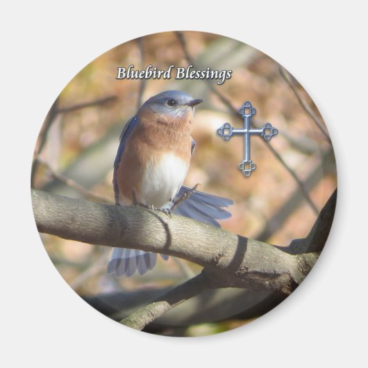 Oostelijke Bluebird Blessings Magnet. Magneet (Voorkant)