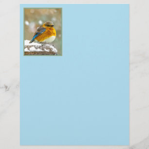 Oostelijke Bluebird in Snow - Originele Foto