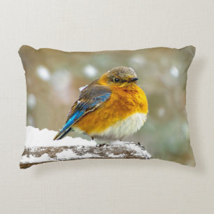 Oostelijke Bluebird in Snow - Originele Foto Accent Kussen