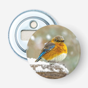 Oostelijke Bluebird in Snow - Originele Foto Button Flesopener